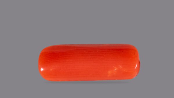 RASHI RATNA