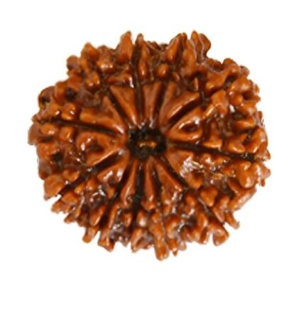 RASHI RATNA