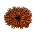 RASHI RATNA
