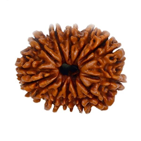 RASHI RATNA